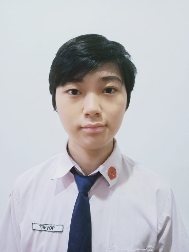 Trevor wade thesis 08 image